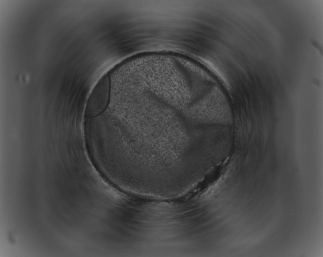 X0000093120943200710171243