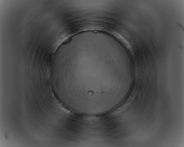 X0000093120945200710171243