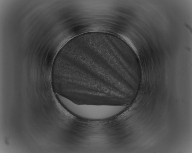 X0000093120946200710171243