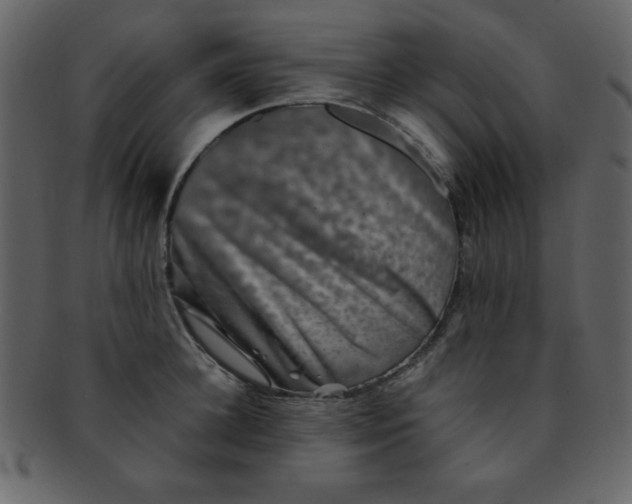 X0000093120948200710171243