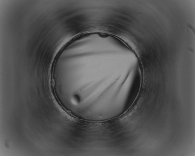 X0000093120949200710171243