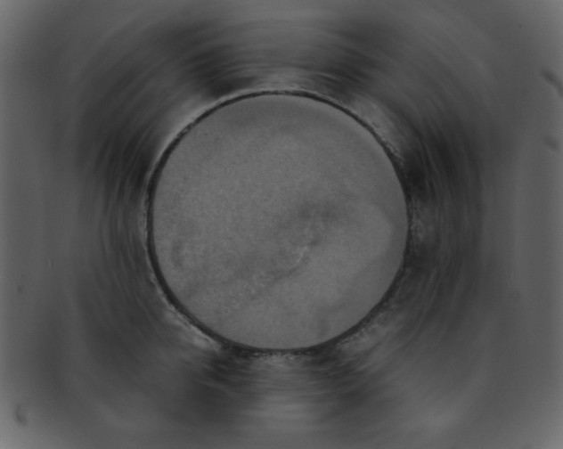 X0000093120950200710171243