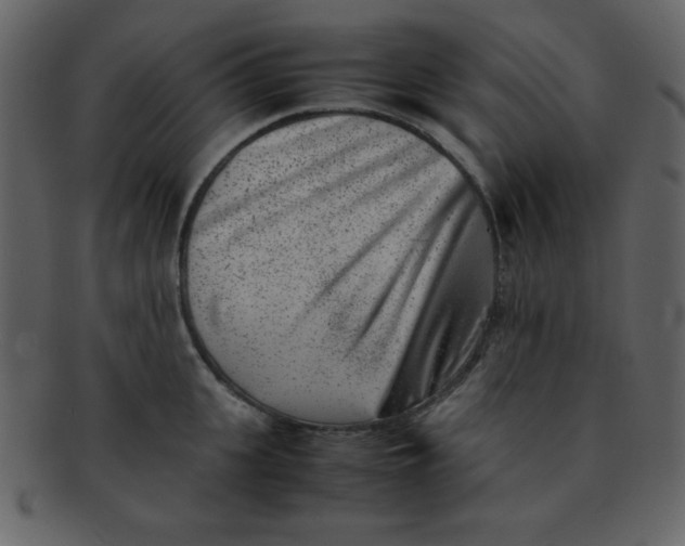 X0000093120951200710171243