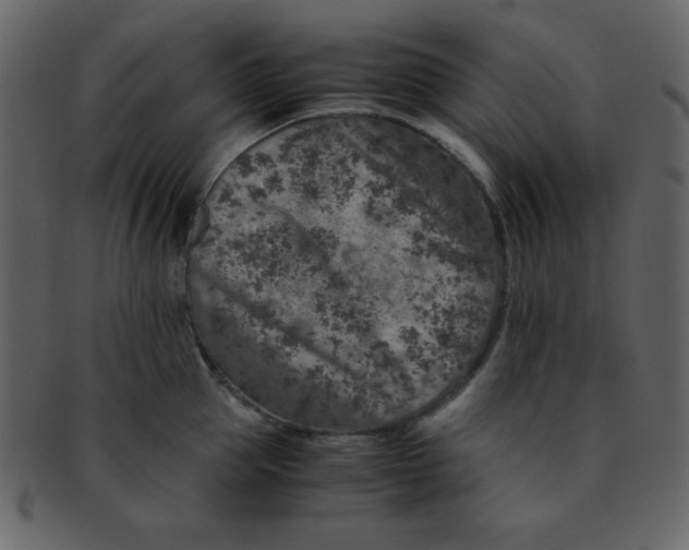 X0000093120953200710171243