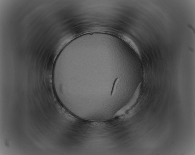 X0000093120954200710171243