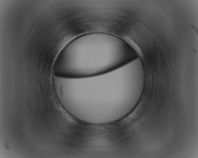 X0000093120956200710171243