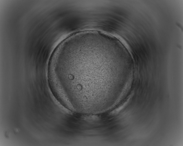 X0000093120957200710171243