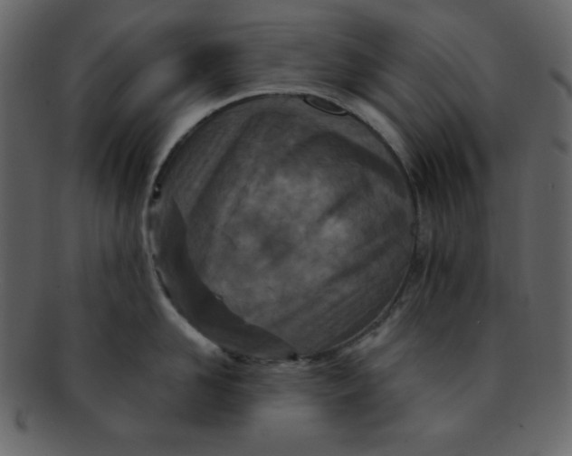 X0000093120958200710171243