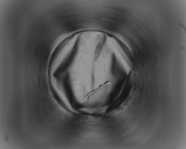 X0000093120959200710171243