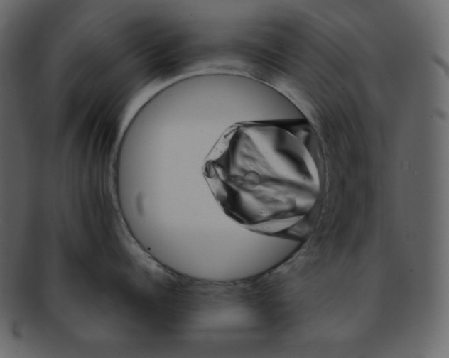 X0000093120960200710171243