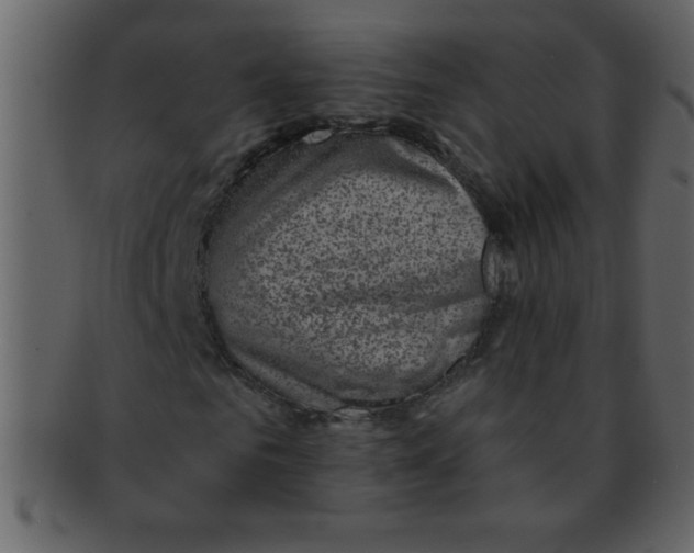 X0000093120961200710171242