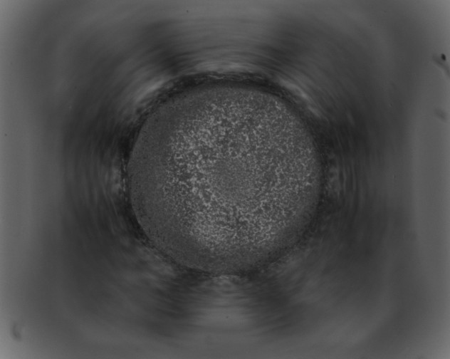 X0000093120966200710171242