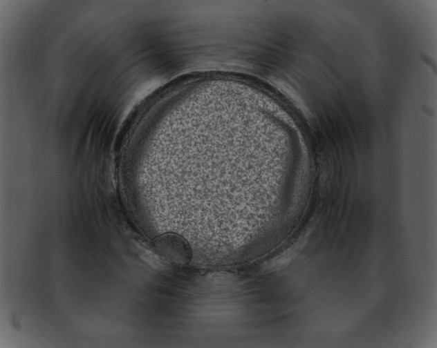 X0000093120974200710171242