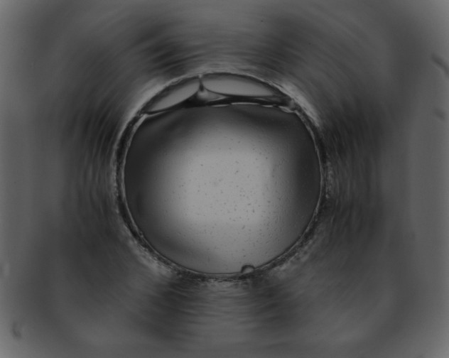 X0000093120976200710171242