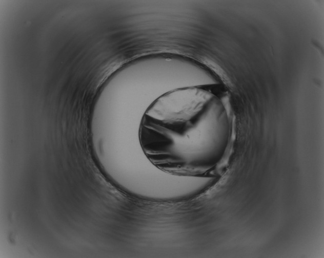 X0000093120977200710171242