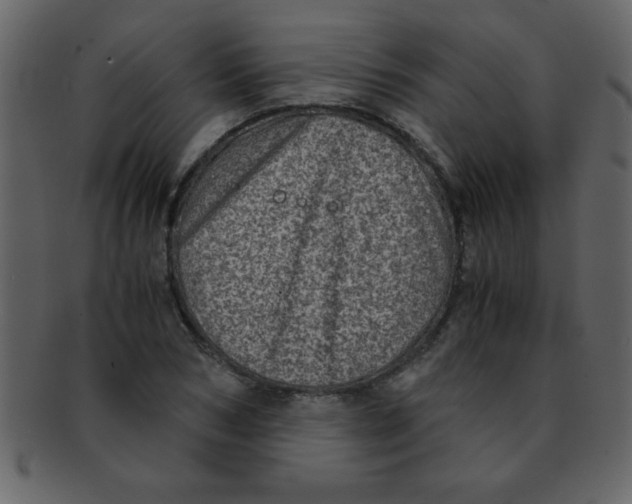 X0000093120978200710171242