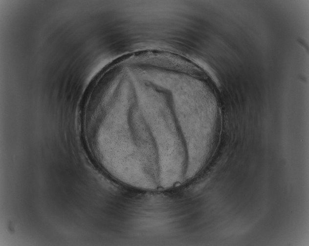 X0000093120983200710171242