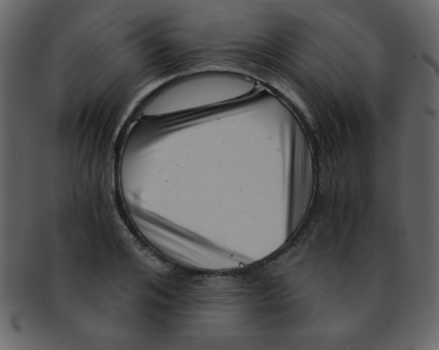 X0000093120984200710171242