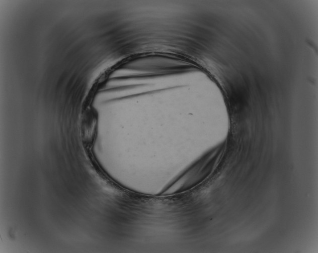 X0000093120987200710171242