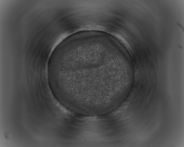 X0000093120990200710171242