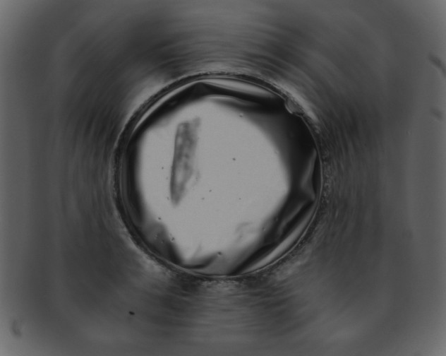 X0000093120991200710171242