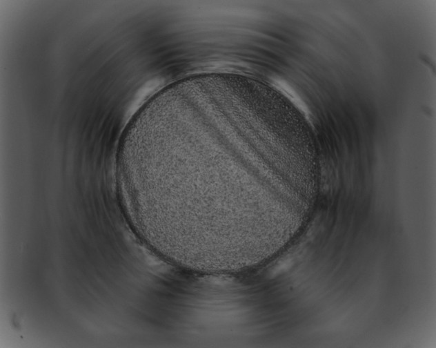 X0000093120994200710171242