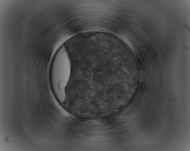 X0000093120995200710171242