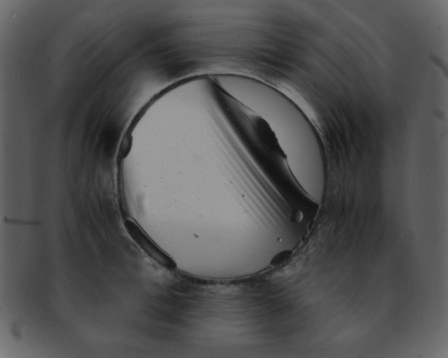 X0000093120996200710171242