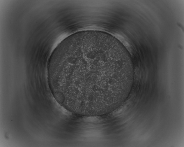 X0000093120998200710171241