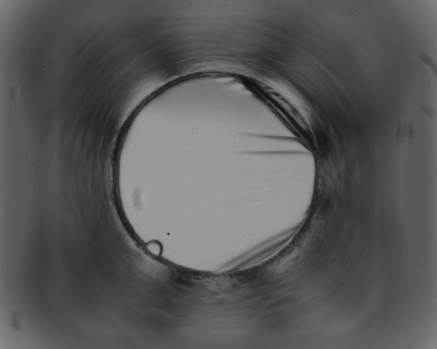 X0000093120999200710171241