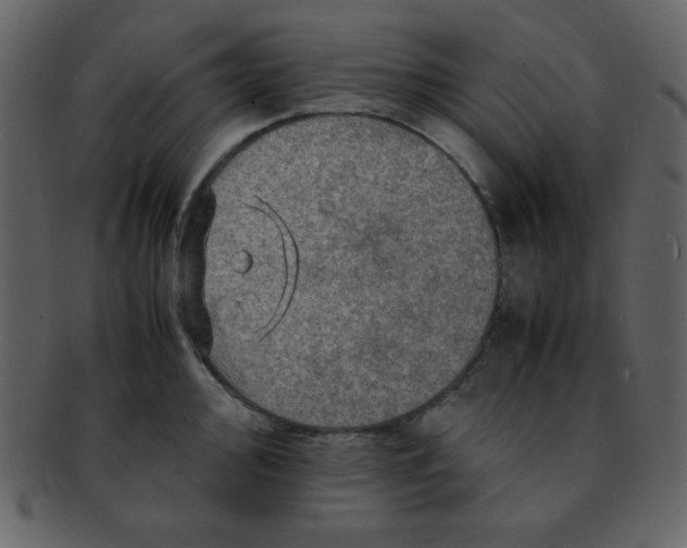 X0000093121000200710171241