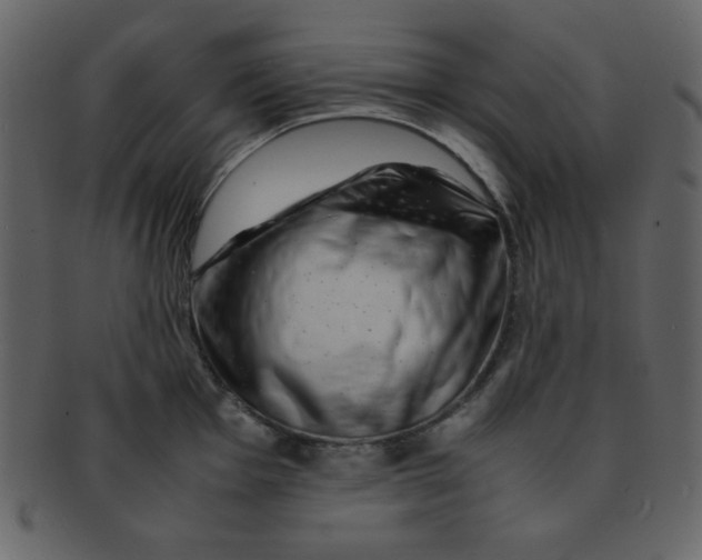 X0000093121001200710171241