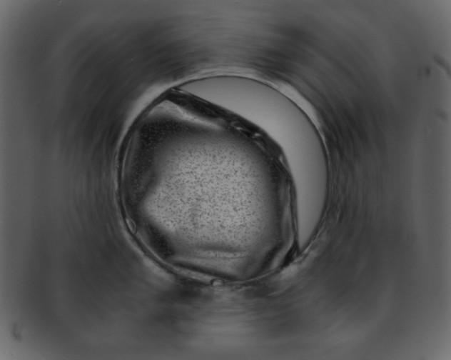 X0000093121005200710171241