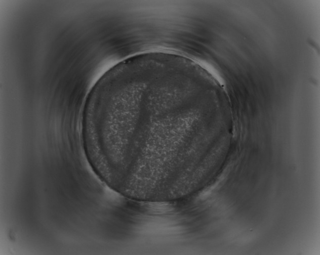 X0000093121007200710171241