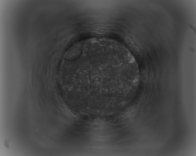 X0000093121009200710171241