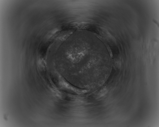 X0000093121010200710171241