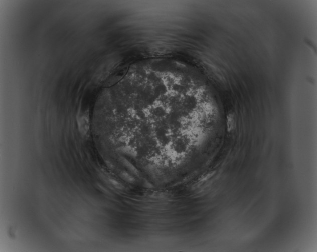 X0000093121011200710171241