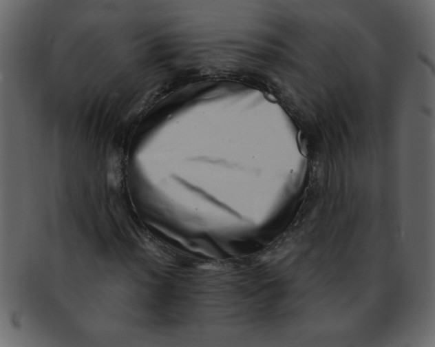 X0000093121012200710171241