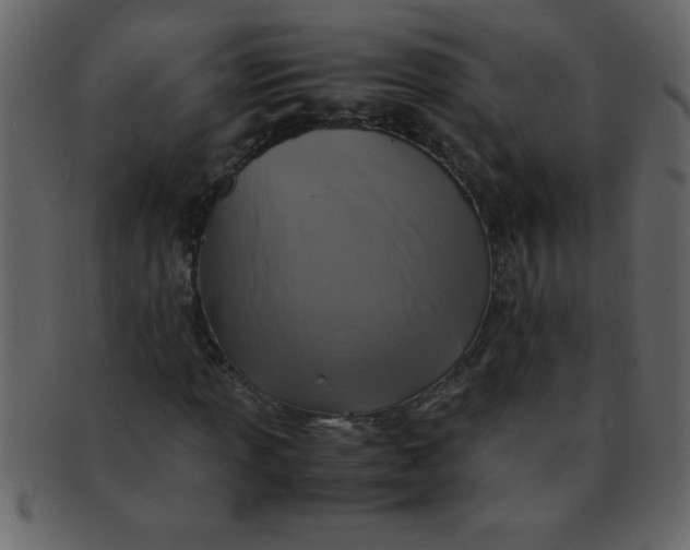 X0000093121013200710171241