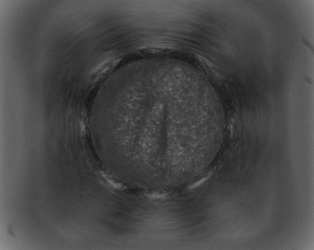 X0000093121014200710171241