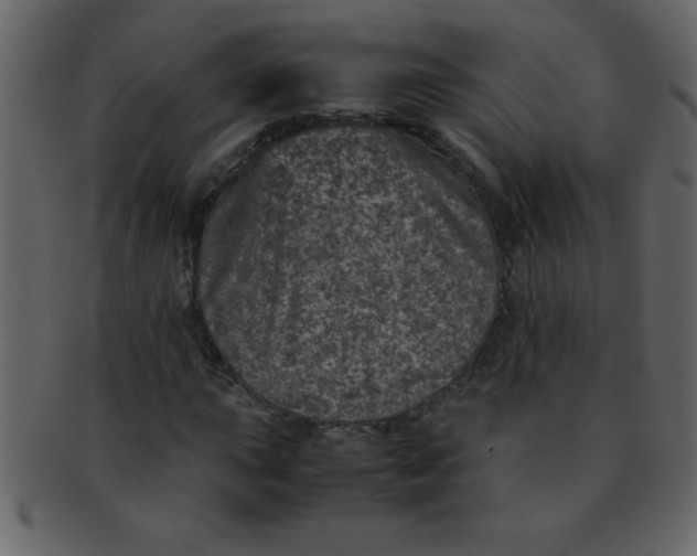 X0000093121015200710171241