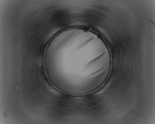 X0000093121017200710171241