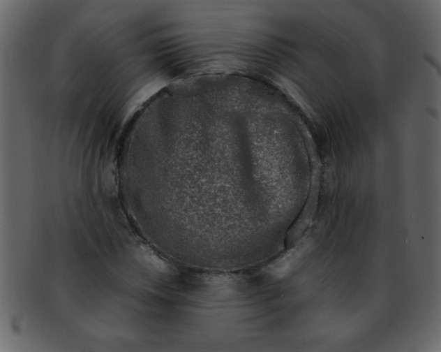 X0000093121018200710171241