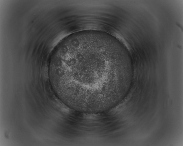 X0000093121019200710171241