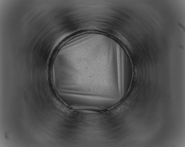 X0000093121020200710171241