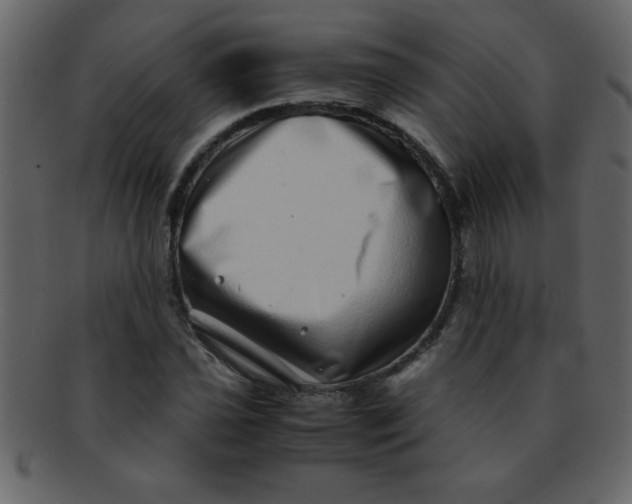 X0000093121021200710171241