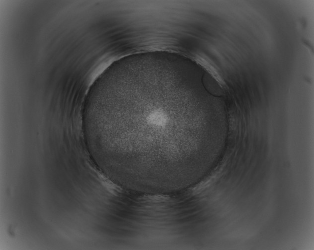 X0000093121023200710171241