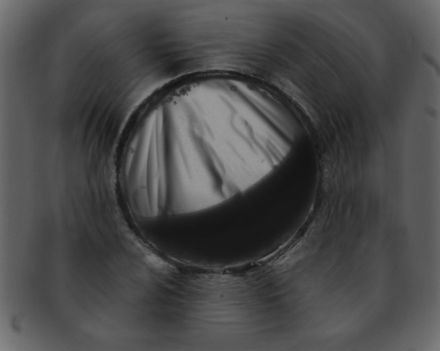 X0000093121024200710171241