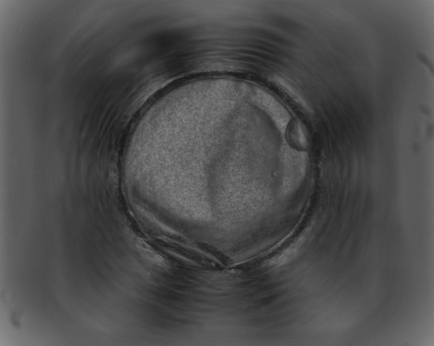 X0000093121025200710171241