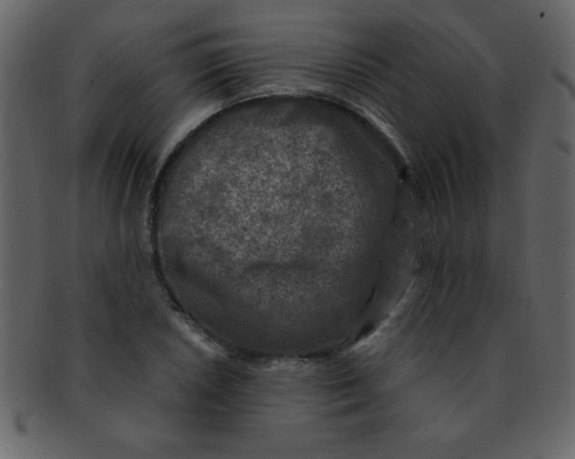 X0000093121026200710171241